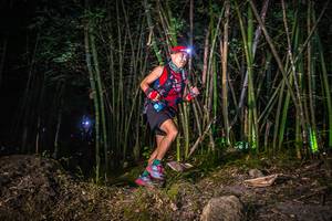 BIB: 
                            <button type="button" onclick="openModal(6933139)" class="btn btn-primary btn-sm float-right btn-popup" data-toggle="modal" data-target=".modal-high-quality">
                        <i class="fas fa-shopping-cart"></i> Add to Cart
                    </button>
                                            <button type="button" onclick="isThisMe(6933139, true)" class="btn btn-success btn-sm float-right btn-popup btn-isme hidden" data-toggle="tooltip" data-placement="bottom" title="นี่คือรูปของคุณใช่ไหม คลิกที่นี่เพื่อเอาเข้าอัลบั้ม">
                        <i class="fas fa-plus"></i> Add to album
                    </button>
                    <button type="button" onclick="isThisMe(6933139, false)" class="btn btn-warning btn-sm float-right btn-popup btn-isnotme hidden">
                        <i class="fas fa-ban"></i> Remove from album
                    </button>